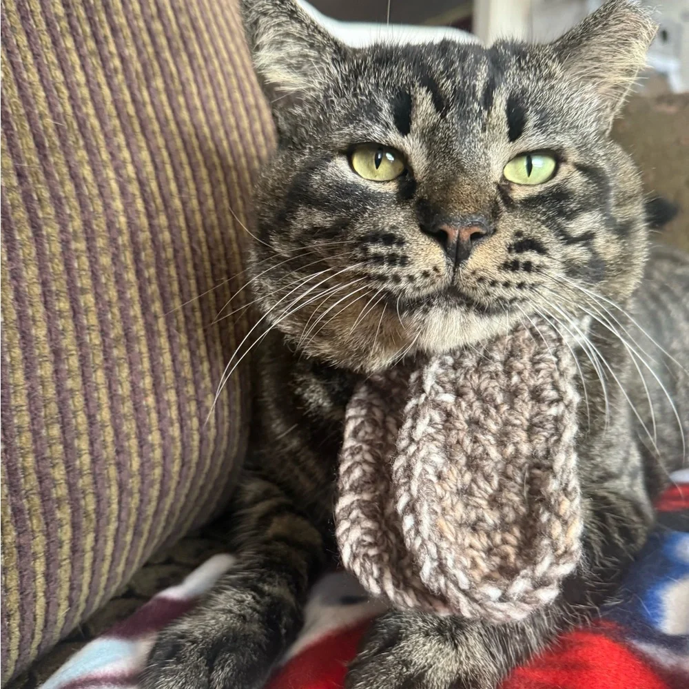 Cozy Knit Cat Scarf - Brown